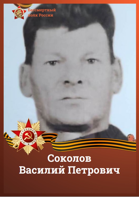 Соколов В.П..jpg